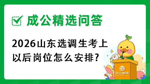 2026山东选调生考上以后岗位怎么安排? 2026山东选调生考上以后岗位怎么安排?